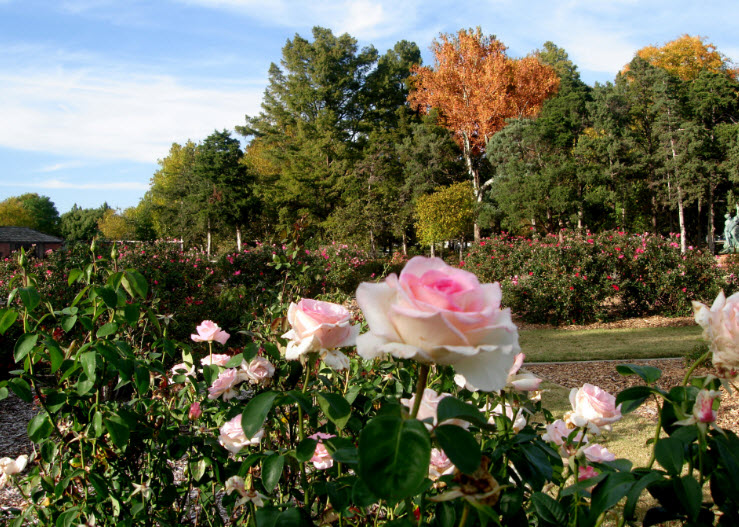 Will Rogers Gardens, United States